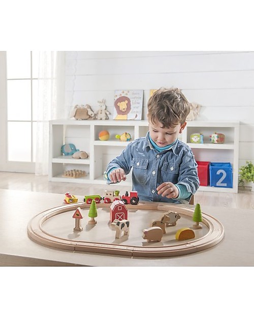 everearth train set